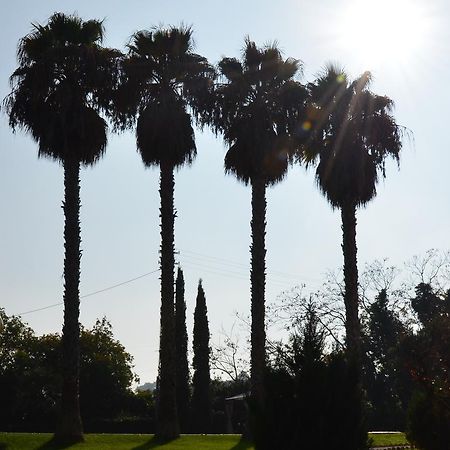 Villa Montanari Rosati ปอร์โต ซาน จอร์โจ ภายนอก รูปภาพ