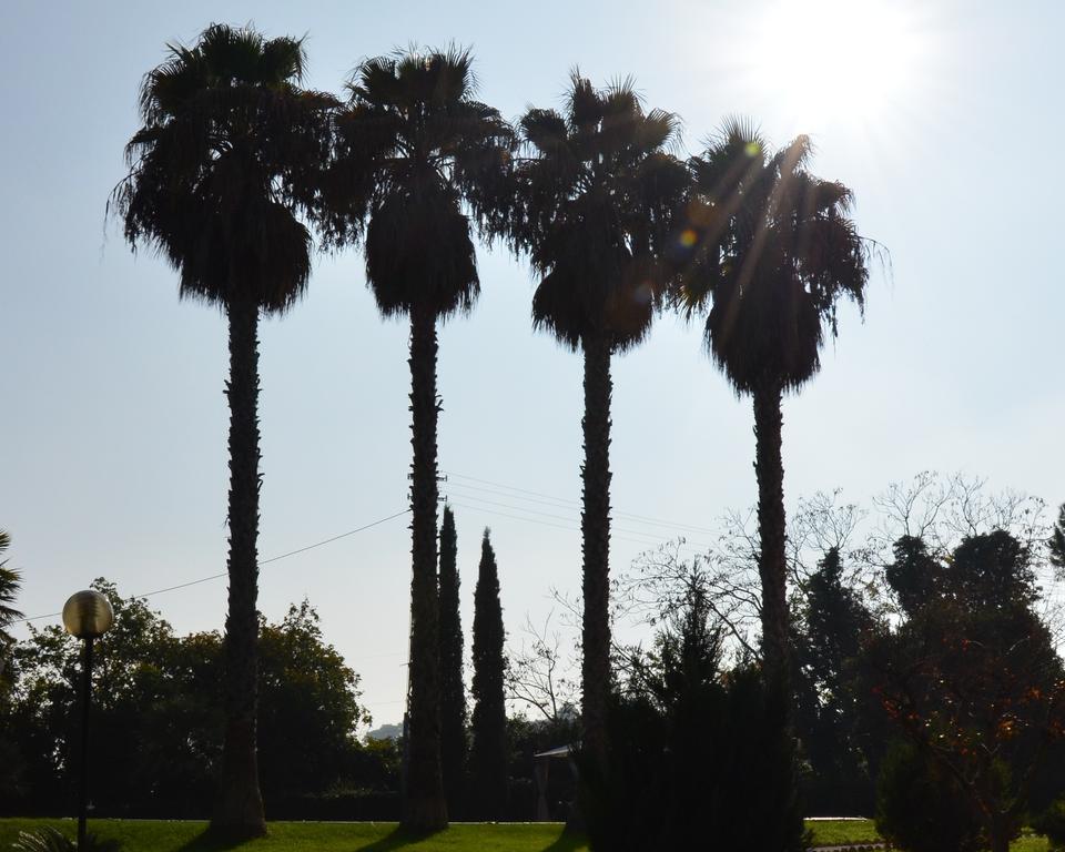 Villa Montanari Rosati ปอร์โต ซาน จอร์โจ ภายนอก รูปภาพ