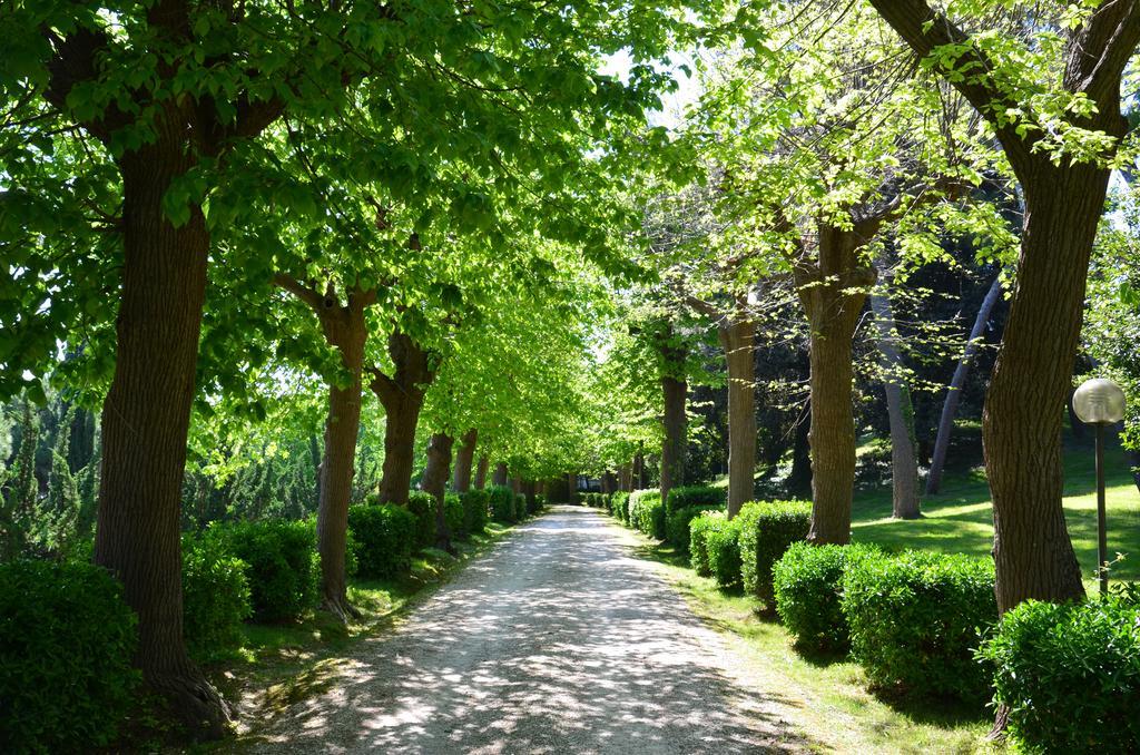 Villa Montanari Rosati ปอร์โต ซาน จอร์โจ ภายนอก รูปภาพ